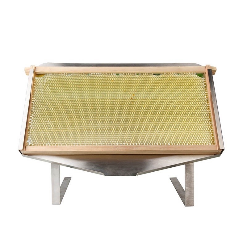 SOPORTE DE EXHIBICION DE PANAL DE ABEJA